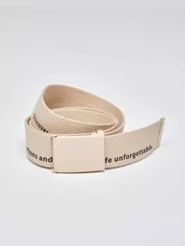 Текстильный ремень