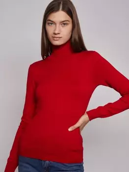 Водолазка с воротником