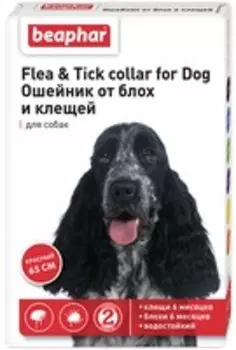 Beaphar Flea&amp;Tick collar for Dog / Ошейник Беафар от Блох 6 месяцев и Клещей 6 месяцев для собак с 6 месяцев 65 см