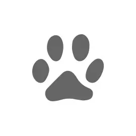 Brit Premium Dinner Plate Jelly / Набор паучей Брит Премиум для кошек Кусочки в желе (цена за упаковку)