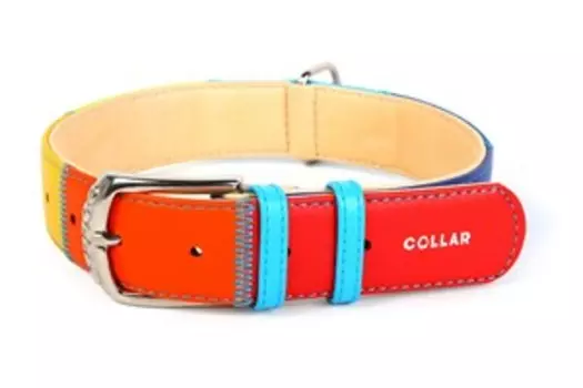 CoLLaR Glamour / Ошейник Колар для собак "Радуга"