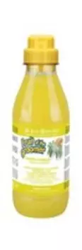 Iv San Bernard Fruit of the Groomer Ginger & Elderbery Shampoo / Шампунь Ив Сан Бернард для любого вида шерсти Против раздражений и перхоти