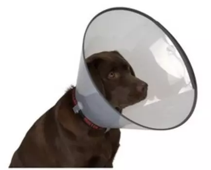 Kruuse защитный воротник для собак Комфорт