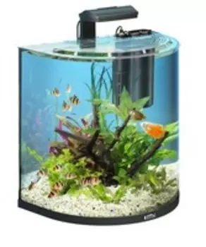Tetra AquaArt Tropical 60 л - аквариумный комплекс "Полумесяц"
