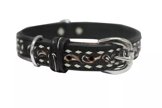 Angel ошейник для собак Laredo (51 х 2,5 см., Черный)