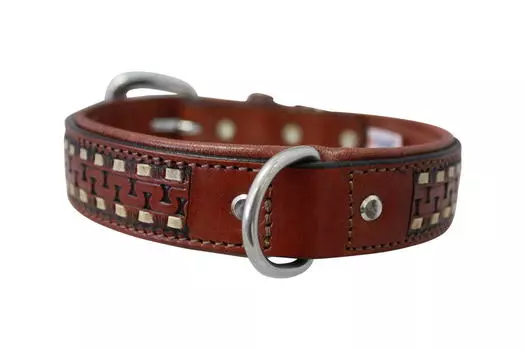 Angel ошейник для собак Tulsa (56 х 4 см., Коричневый)