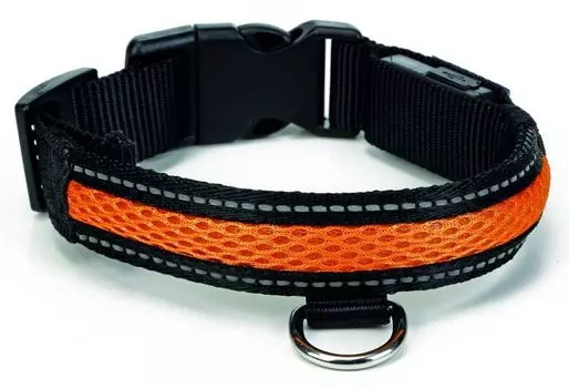 Beeztees 749832 ошейник светящийся с USB ( 45-63см*25мм)
