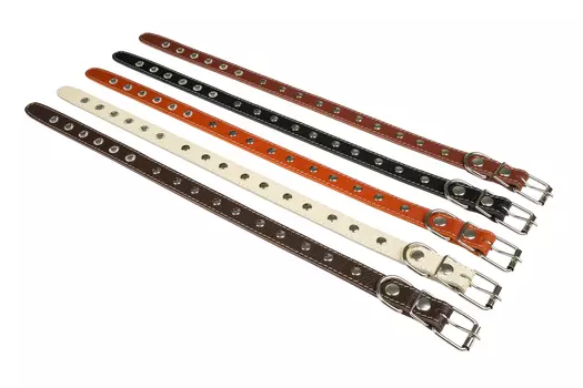 Brava ошейник кожаный 1 слой с металлофурнитурой (№25)