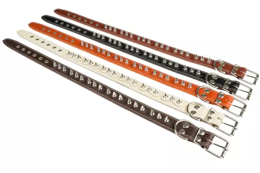 Brava ошейник кожаный 1 слой с подкладкой и шипами (№36)