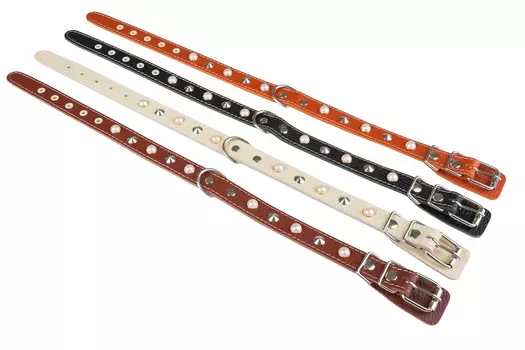 Brava ошейник кожаный 1 слой с украшением и кольцом посередине (№20)