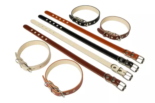 Brava ошейник кожаный 2 слоя без украшений (№20)