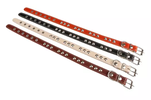 Brava ошейник кожаный 2 слоя с металлофурнитурой (№36)