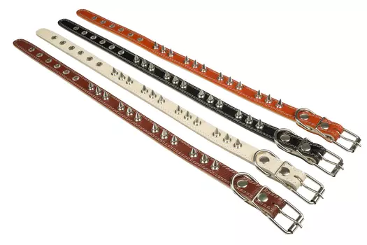 Brava ошейник кожаный 2 слоя с шипами (№25)