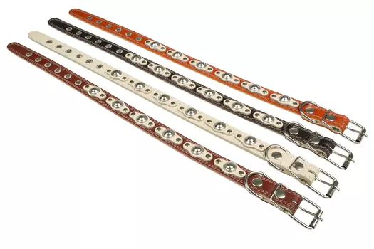 Brava ошейник кожаный 2 слоя с украшением (№20)