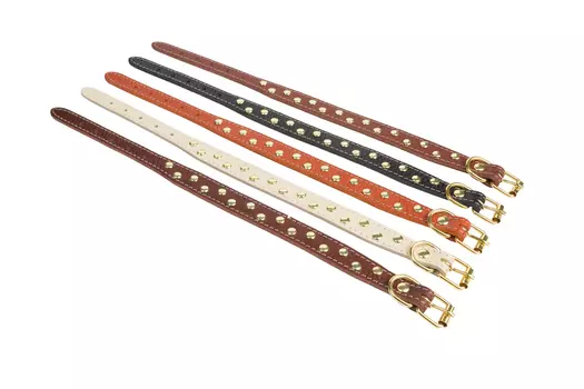 Brava ошейник кожаный клепанный (№12)