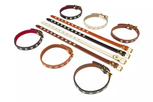 Brava ошейник кожаный с подкладкой и блочкой (№14)