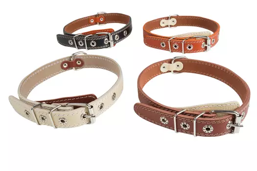 Brava ошейник кожаный с подкладкой и кольцом посередине, без украшений (№25)