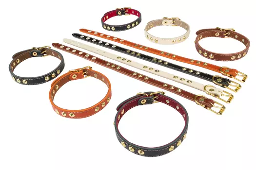 Brava ошейник кожаный с подкладкой и металлофурнитурой (№14)