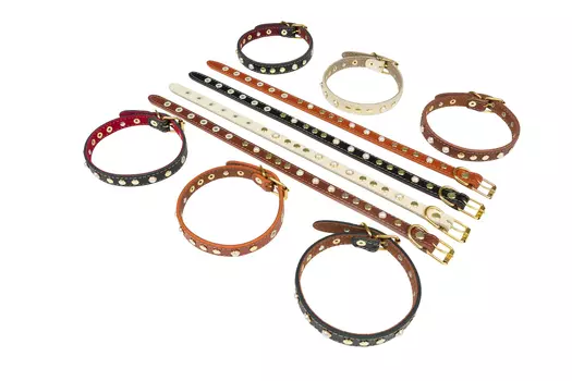 Brava ошейник кожаный с подкладкой и украшением (№14)