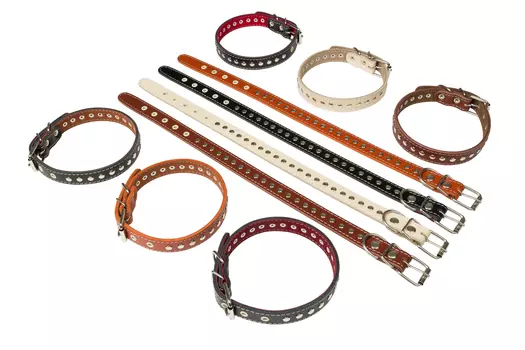 Brava ошейник кожаный с подкладкой клепанный (№36)