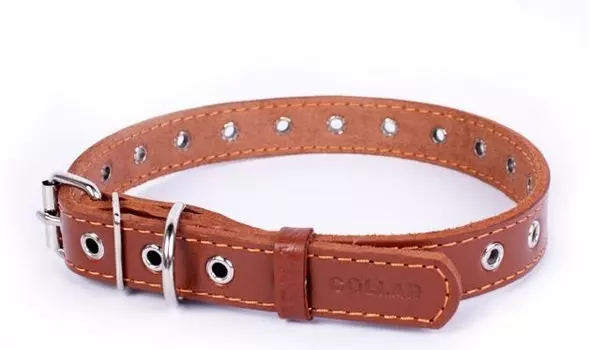 Collar ошейник кожаный безразмерный (20 мм. х 50см, Коричневый)