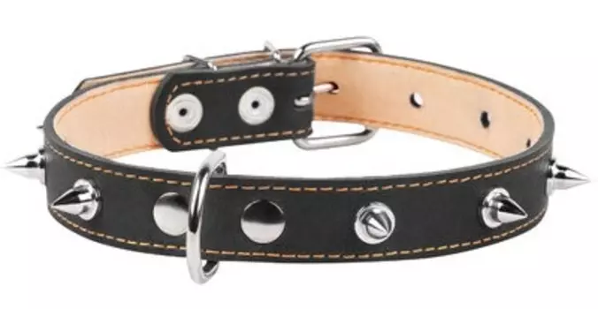 Collar ошейник кожаный двойной с шипами (38-50 см., Черный)
