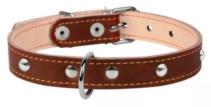 Collar ошейник кожаный двойной с украшениями (38-50 см., Коричневый)