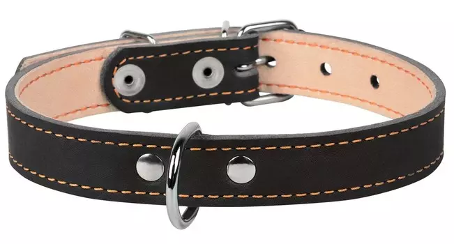 Collar ошейник кожаный двойной, темный верх (38-50 см., Черный)