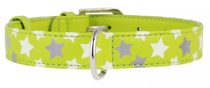 Collar ошейник кожаный Glamour "Звездочка", светоотражающая (ширина 12 мм., длина 21 - 29 см., Зеленый)