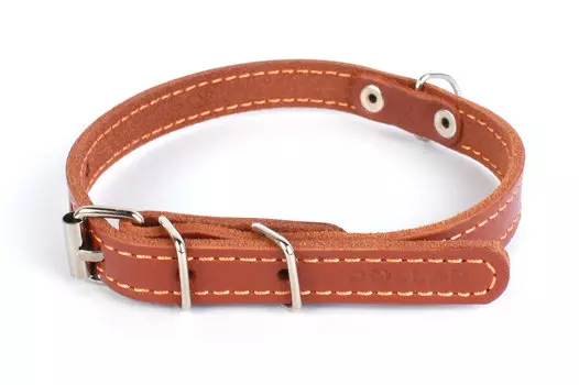 Collar ошейник кожаный одинарный (24-32 см., Коричневый)