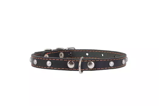 Collar ошейник кожаный одинарный с украшением (27-35 см., Черный)