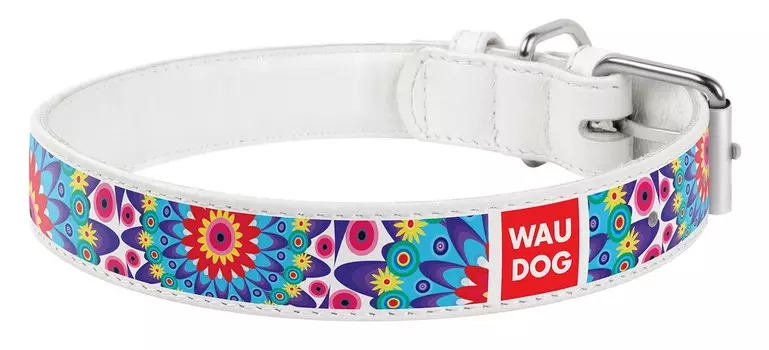 Collar ошейник кожаный Waudog Design "Цветы" (ширина 12 мм., длина 19 - 25 см., Белый)