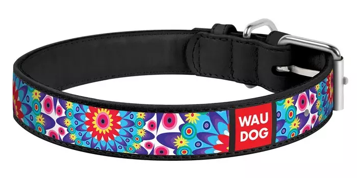 Collar ошейник кожаный Waudog Design "Цветы" (ширина 20 мм., длина 30 - 39 см., Черный)