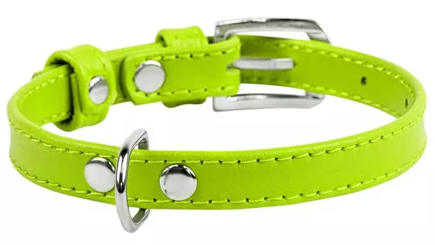 Collar ошейник кожаный Waudog Glamour без украшений (27-36 см., Салатовый)