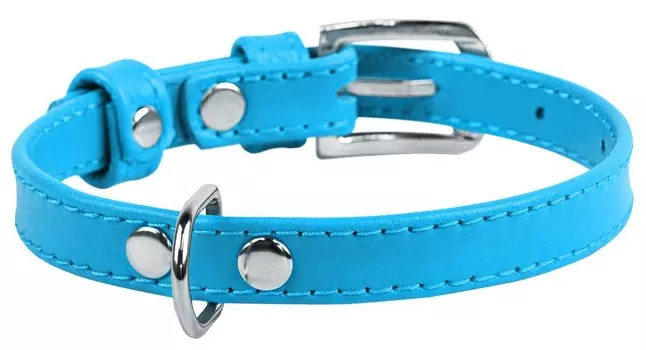 Collar ошейник кожаный Waudog Glamour без украшений (19-25 см., Голубой)