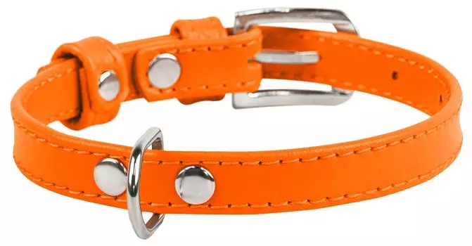 Collar ошейник кожаный Waudog Glamour без украшений (27-36 см., Оранжевый)