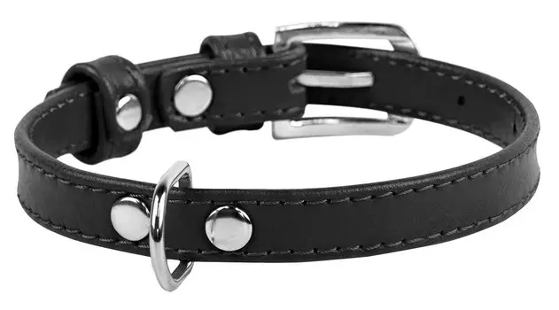 Collar ошейник кожаный Waudog Glamour без украшений (27-36 см., Черный)