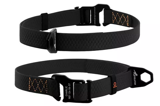 Collar ошейник "Эволютор" (ширина 25 мм., длина 25 - 70 см., Черный)