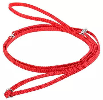 Collar ринговка Dog Extremе нейлоновая (Красный)