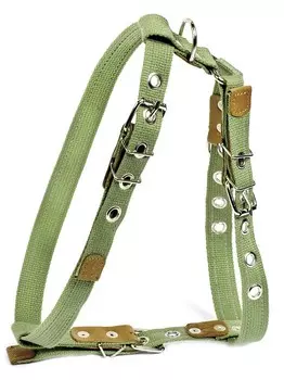 Collar шлея х/б тесьма