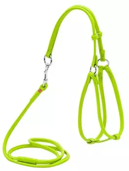 Collar шлея кожаная Glamour №1 с поводком, круглая (Салатовый)