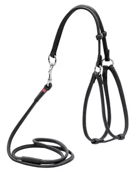 Collar шлея кожаная Glamour №1 с поводком, круглая (Черный)