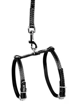 Collar шлея кожаная Glamour с поводком (ширина 10 мм., Черный)