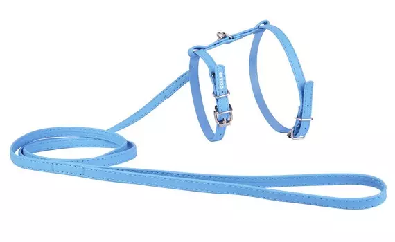 Collar шлея кожаная Glamour с поводком (ширина 10 мм., Синий)