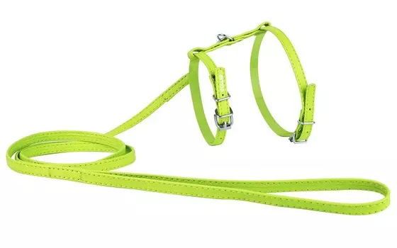 Collar шлея кожаная Glamour с поводком (ширина 10 мм., Зеленый)