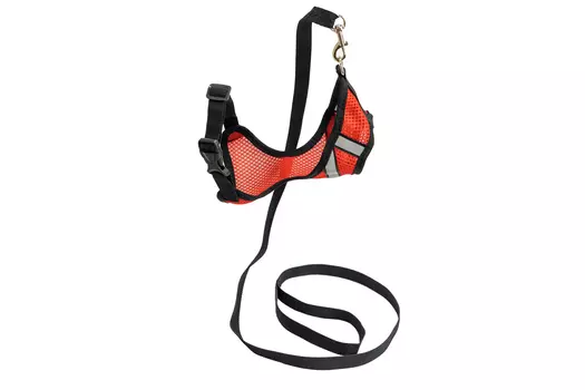Дарэленд комплект шлейка+поводок для кошек и собак Космо Light (M, Красный)