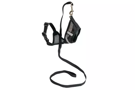 Дарэленд комплект шлейка+поводок для кошек и собак Космо Light (S, Черный)