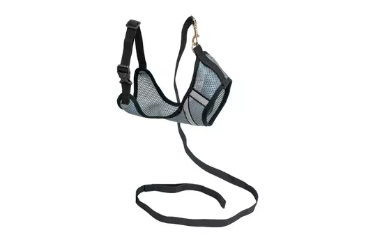 Дарэленд комплект шлейка+поводок для кошек и собак Космо Light (S, Серый)