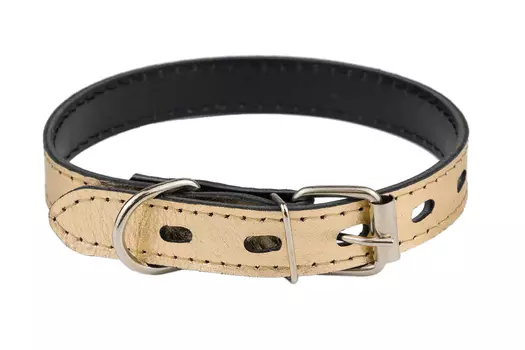 Дарэленд ошейник кожаный простроченный 2х-слойный (23-33 см., Золотой)