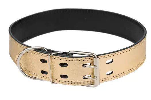 Дарэленд ошейник кожаный простроченный 2х-слойный (53-63 см., Золотой)